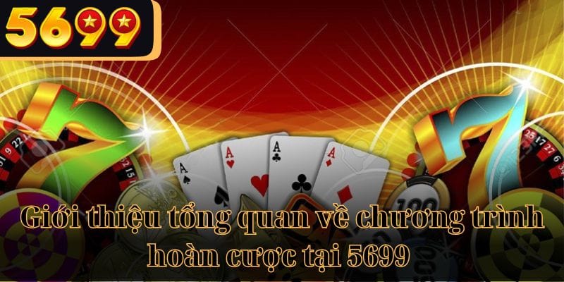 Giới thiệu tổng quan về chương trình hoàn cược tại nhà cái 5699