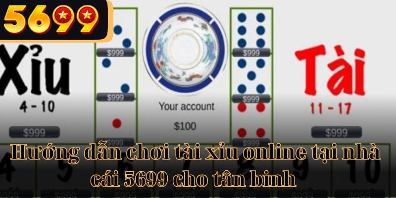 Hướng dẫn chơi tài xỉu online tại nhà cái 5699 cho tân binh